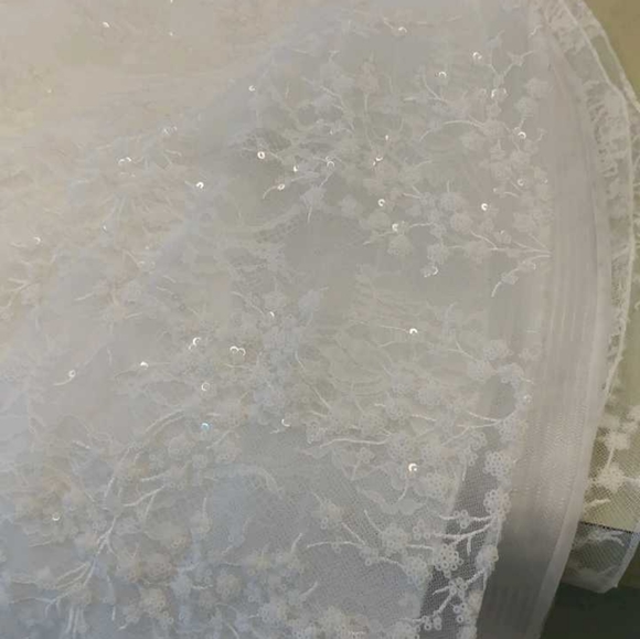 Tony Ward Nina Wedding Dress - Picture 15 of 16